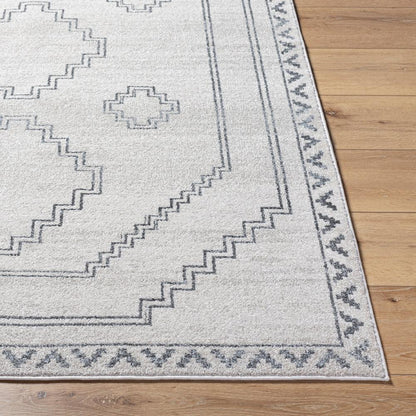 Livabliss - Alpharetta 67inx9 Machine Woven Rug - APH2306-679 veiw 4