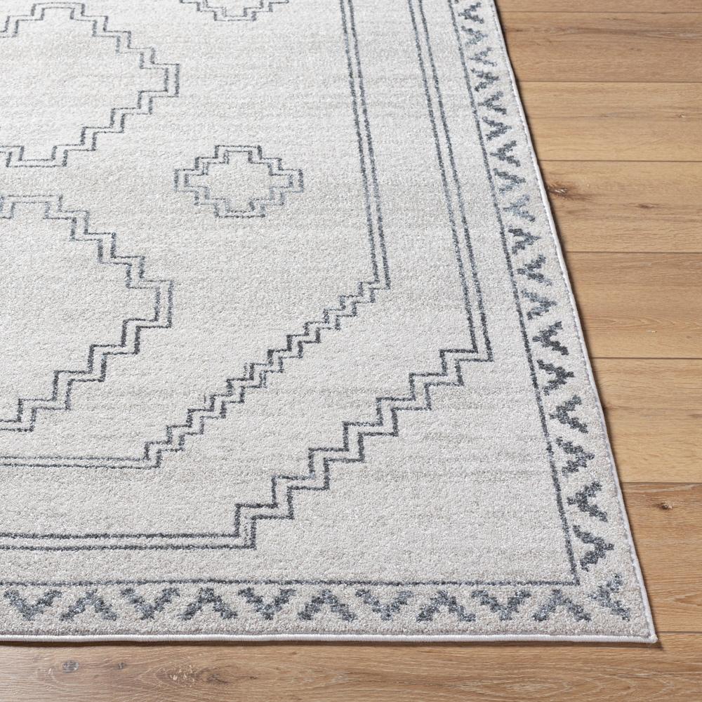 Livabliss - Alpharetta 710inx10 Machine Woven Rug - APH2306-71010 veiw 4