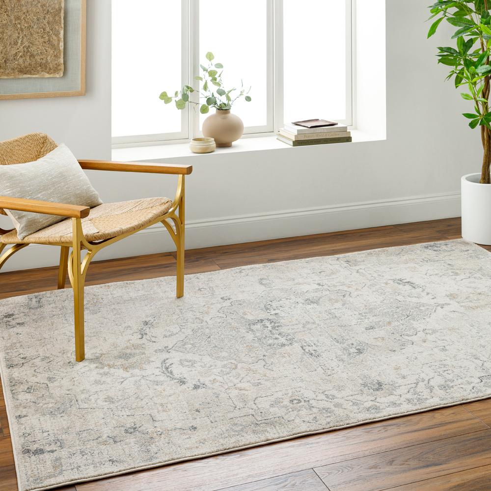 Livabliss - Alpharetta 710inx10 Machine Woven Rug - APH2307-71010 veiw 2