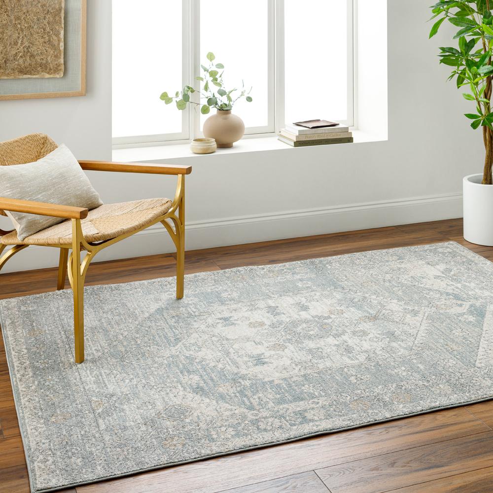 Livabliss - Alpharetta 53inx7 Machine Woven Rug - APH2310-537 veiw 2