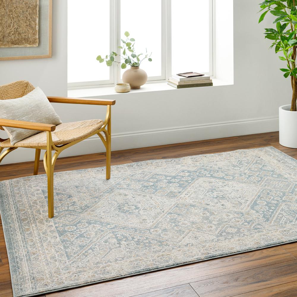 Livabliss - Alpharetta 53inx7 Machine Woven Rug - APH2312-537 veiw 2