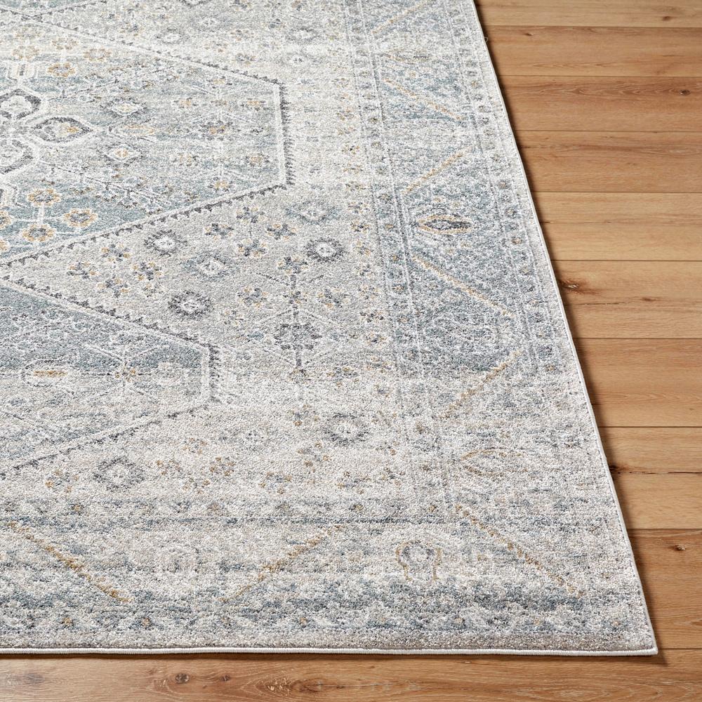 Livabliss - Alpharetta 53inx7 Machine Woven Rug - APH2313-537 veiw 4