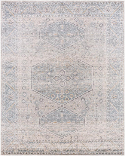 Livabliss - Alpharetta 710inx10 Machine Woven Rug - APH2313-71010 veiw 1