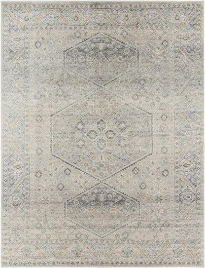 Livabliss - Alpharetta 53inx7 Machine Woven Rug - APH2314-537 veiw 1
