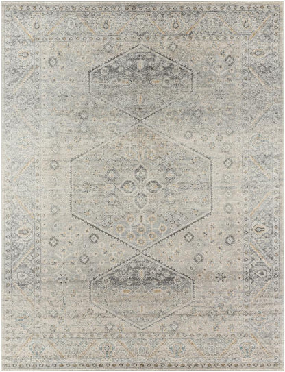 Livabliss - Alpharetta 710inx10 Machine Woven Rug - APH2314-71010 veiw 1