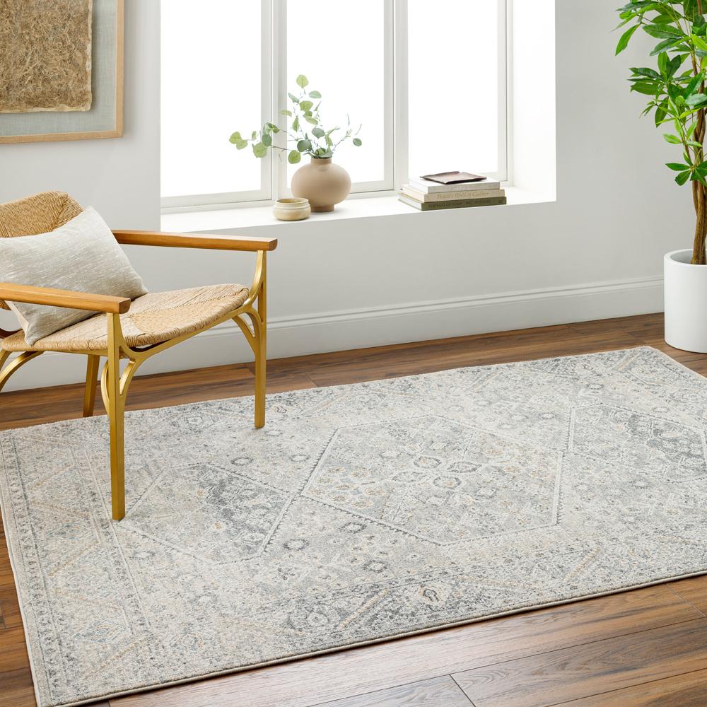 Livabliss - Alpharetta 710inx10 Machine Woven Rug - APH2314-71010 veiw 2