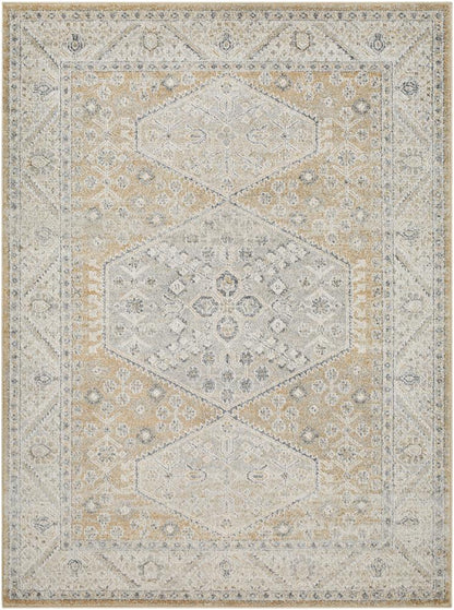Livabliss - Alpharetta 53inx7 Machine Woven Rug - APH2315-537 veiw 1