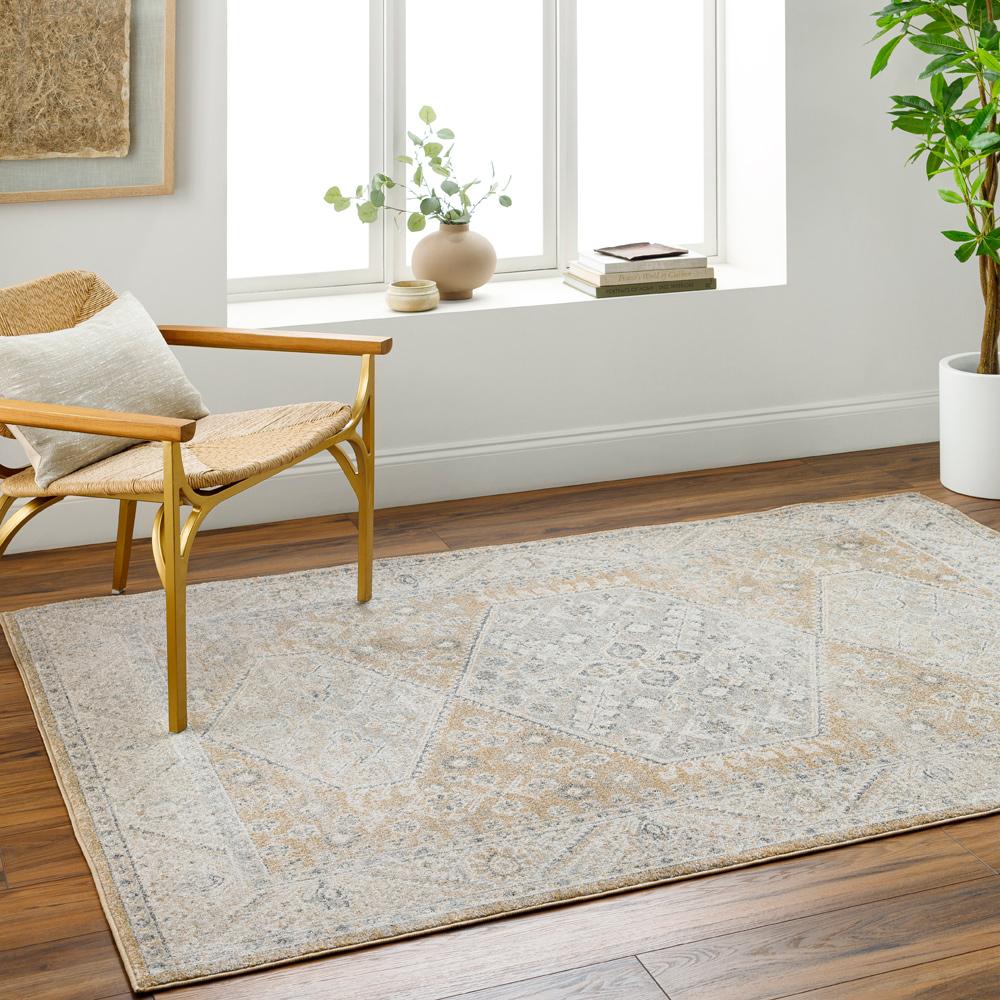 Livabliss - Alpharetta 53inx7 Machine Woven Rug - APH2315-537 veiw 2