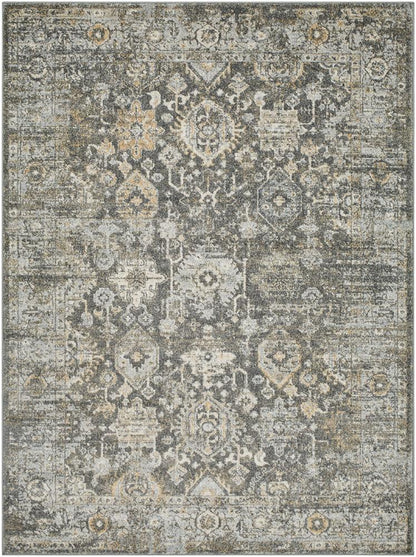Livabliss - Alpharetta 710inx10 Machine Woven Rug - APH2318-71010 veiw 1
