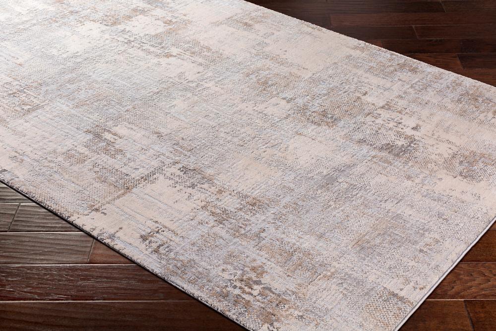 Livabliss - Alpine 53inx73in Machine Woven Rug - ALP2304-5373 veiw 3