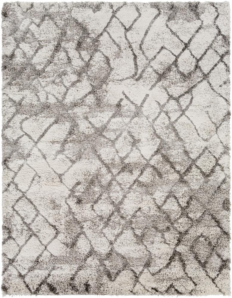 Livabliss - Alta Shag 710inx10 Machine Woven Rug - ASG2300-71010_CLOSEOUT veiw 1