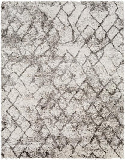 Livabliss - Alta Shag 710inx10 Machine Woven Rug - ASG2300-71010_CLOSEOUT veiw 1