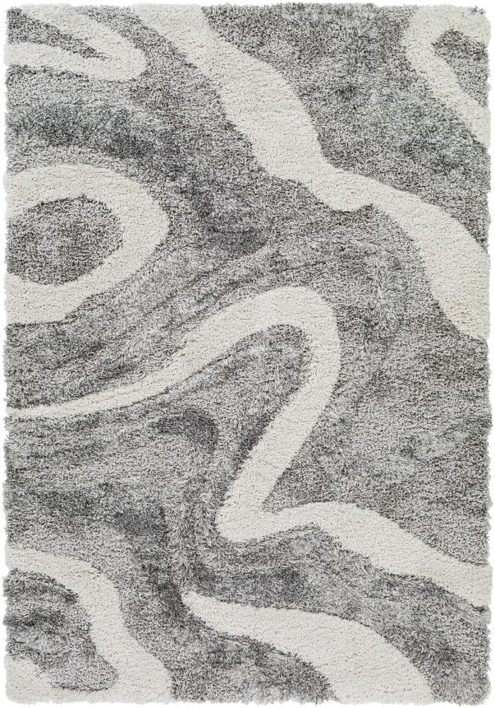 Livabliss - Alta Shag 67inx9 Machine Woven Rug - ASG2303-679 veiw 1