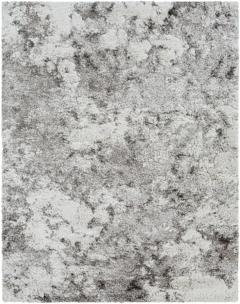 Livabliss - Alta Shag 710inx10 Machine Woven Rug - ASG2304-71010 veiw 1