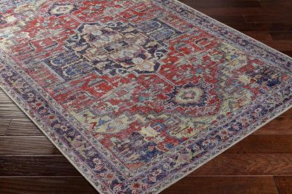 Livabliss - Amelie 67inx9 Machine Woven Rug - AML2372-679_CLOSEOUT veiw 3