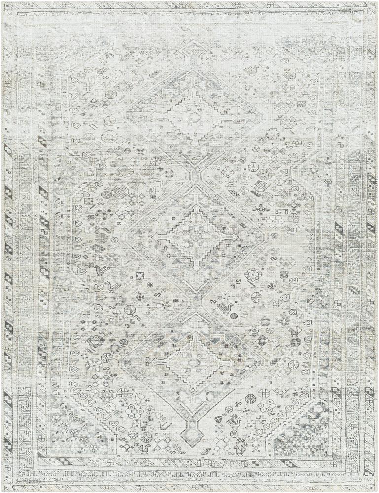 Livabliss - Amelie 67inx9 Machine Woven Rug - AML2379-679 veiw 1