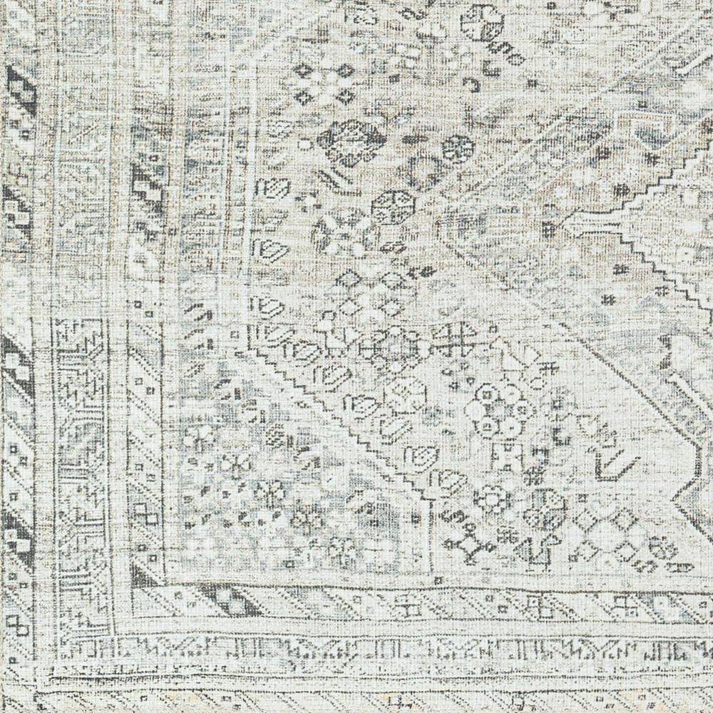 Livabliss - Amelie 67inx9 Machine Woven Rug - AML2379-679 veiw 4