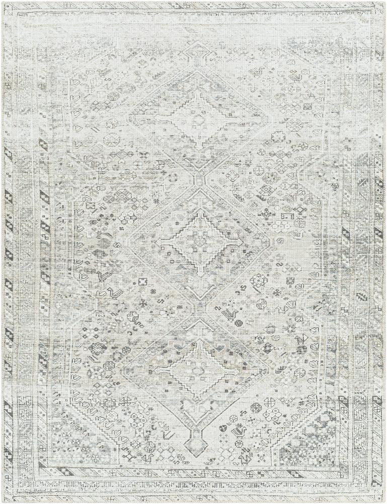Livabliss - Amelie 810inx12 Machine Woven Rug - AML2379-81012 veiw 1
