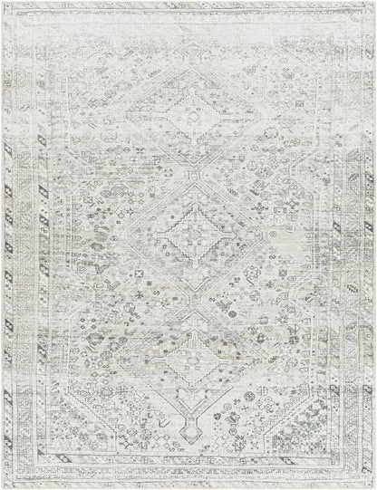 Livabliss - Amelie 810inx12 Machine Woven Rug - AML2379-81012 veiw 1