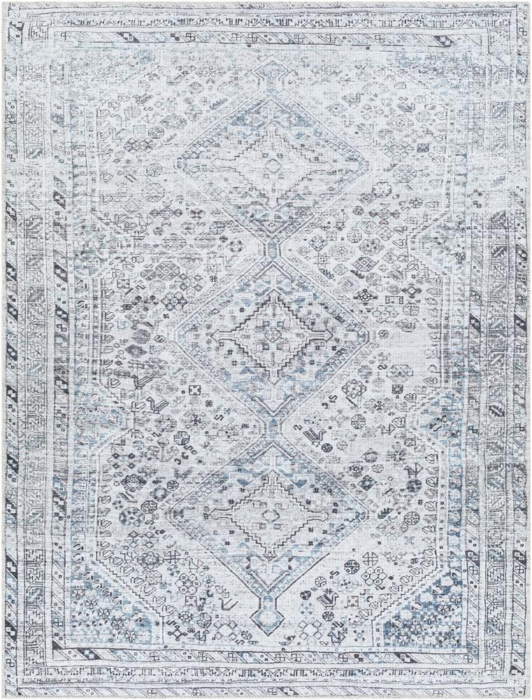 Livabliss - Amelie 2x211in Machine Woven Rug - AML2380-2211 veiw 1