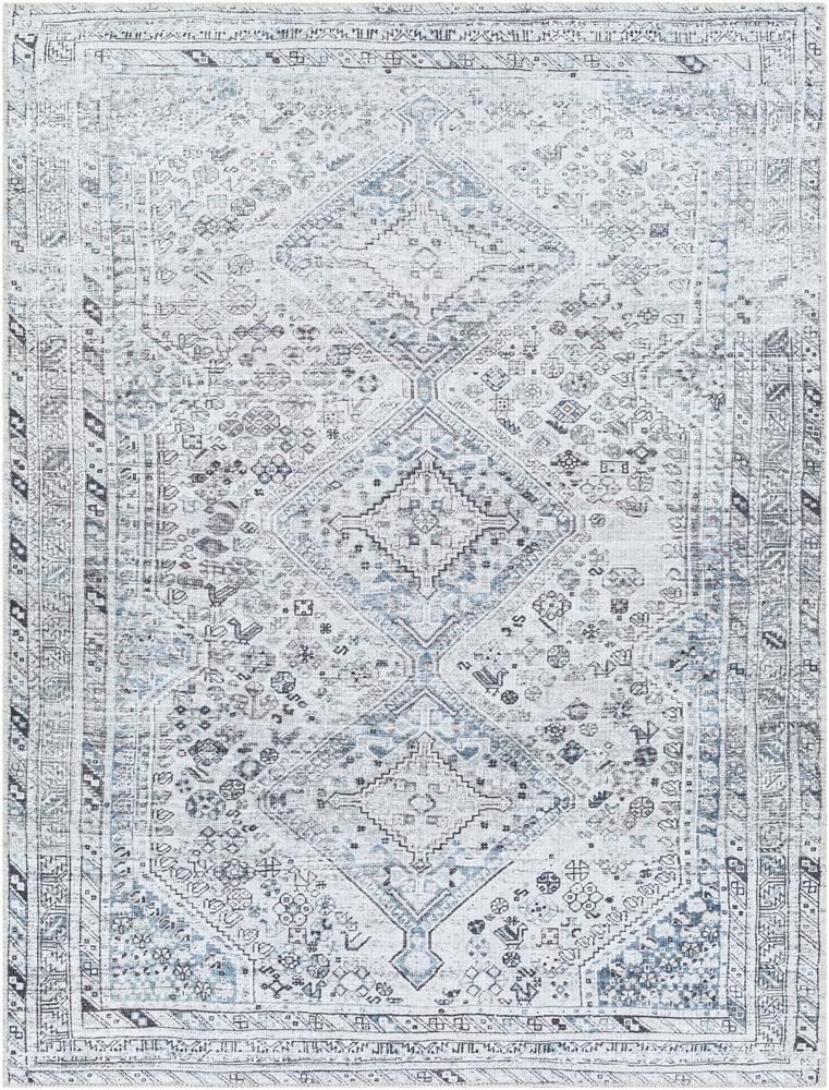 Livabliss - Amelie 67inx9 Machine Woven Rug - AML2380-679 veiw 1