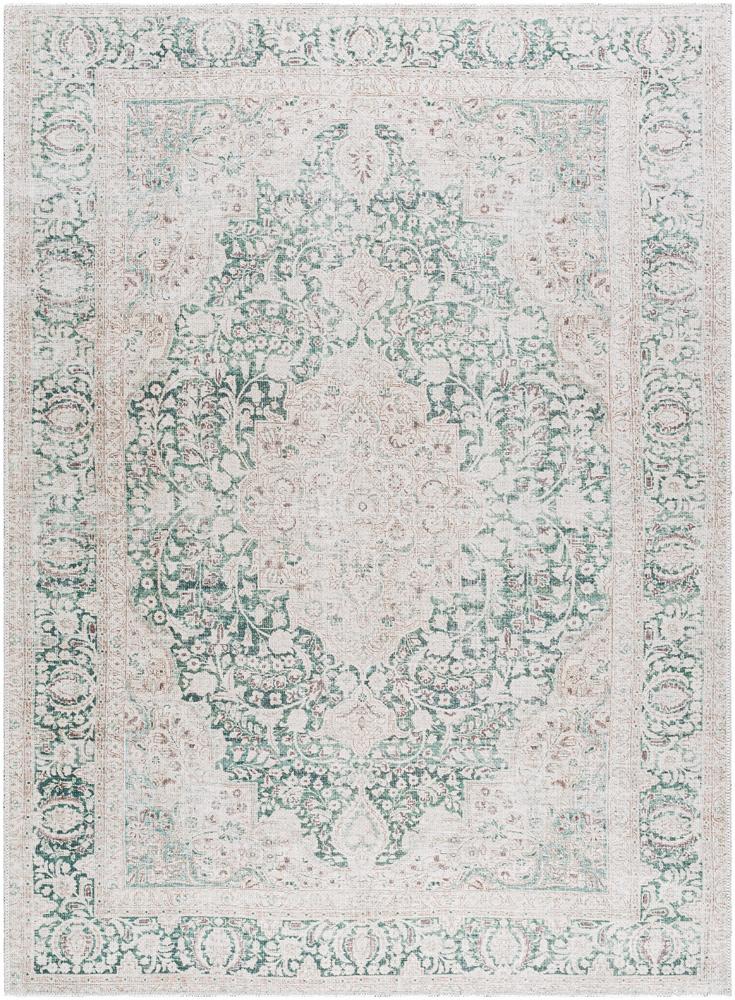 Livabliss - Amelie 67inx9 Machine Woven Rug - AML2393-679 veiw 1