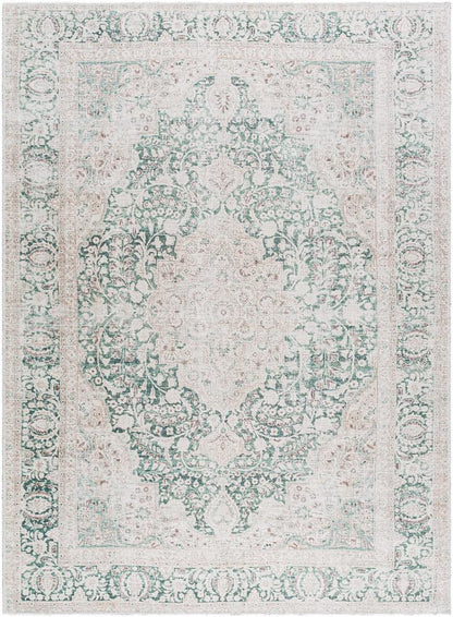 Livabliss - Amelie 710inx102in Machine Woven Rug - AML2393-710102 veiw 1