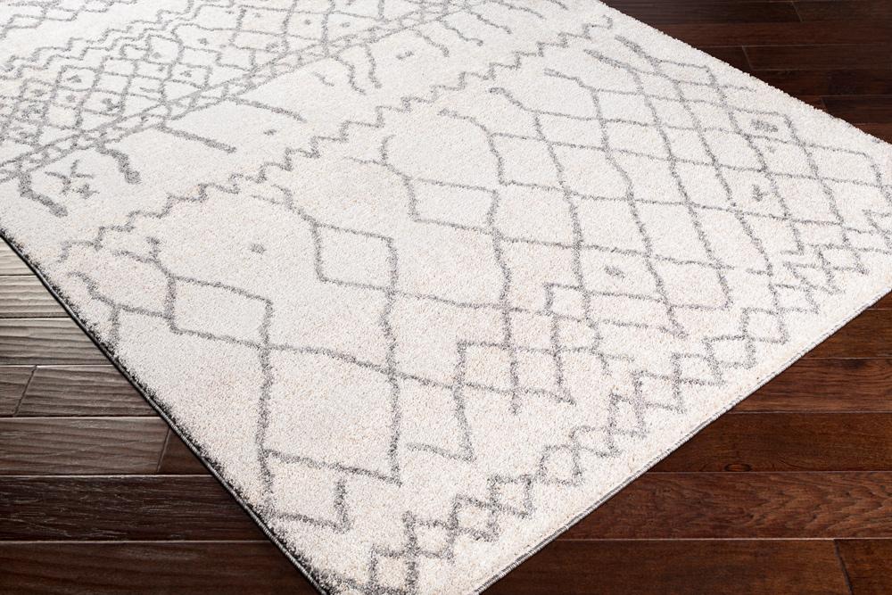Livabliss - Andorra 2x211in Machine Woven Rug - ARD2303-23 veiw 3