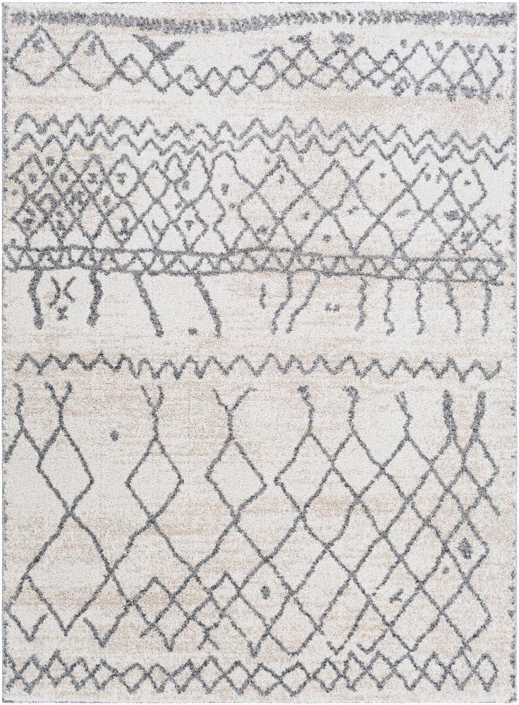 Livabliss - Andorra 53inx73in Machine Woven Rug - ARD2303-5373 veiw 1