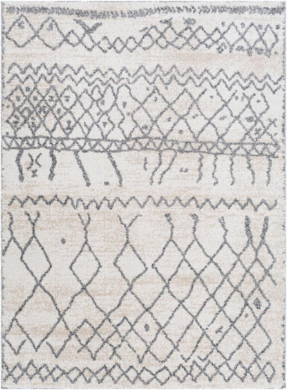 Livabliss - Andorra 67inx9 Machine Woven Rug - ARD2303-679 veiw 1