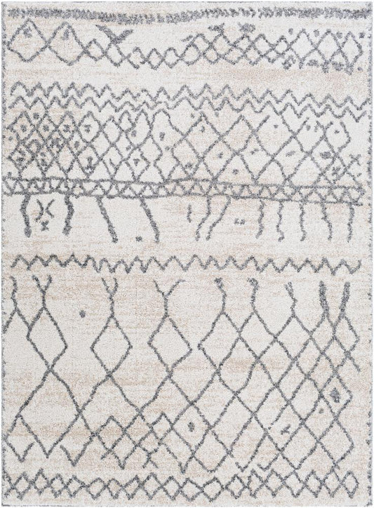 Livabliss - Andorra 67inx9 Machine Woven Rug - ARD2303-679 veiw 1