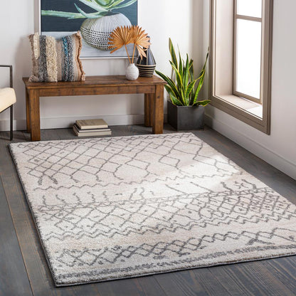 Livabliss - Andorra 67inx9 Machine Woven Rug - ARD2303-679 veiw 2