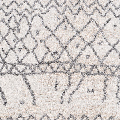 Livabliss - Andorra 67inx9 Machine Woven Rug - ARD2303-679 veiw 4