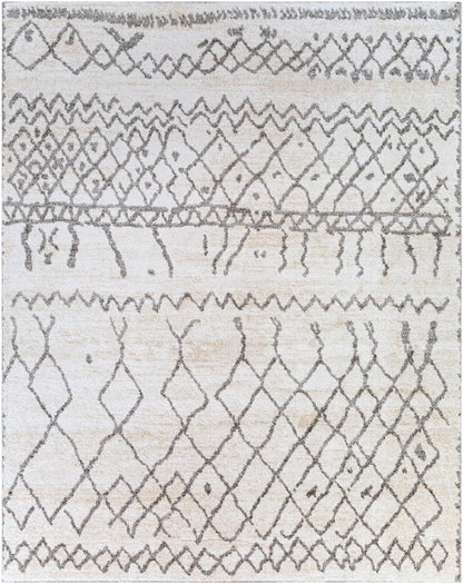 Livabliss - Andorra 710inx10 Machine Woven Rug - ARD2303-71010 veiw 1