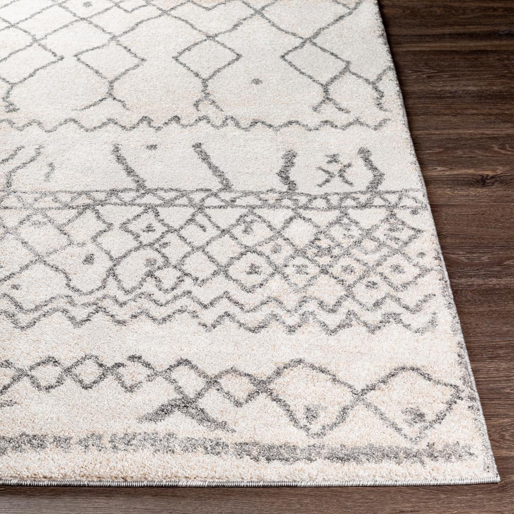 Livabliss - Andorra 710inx10 Machine Woven Rug - ARD2303-71010 veiw 5