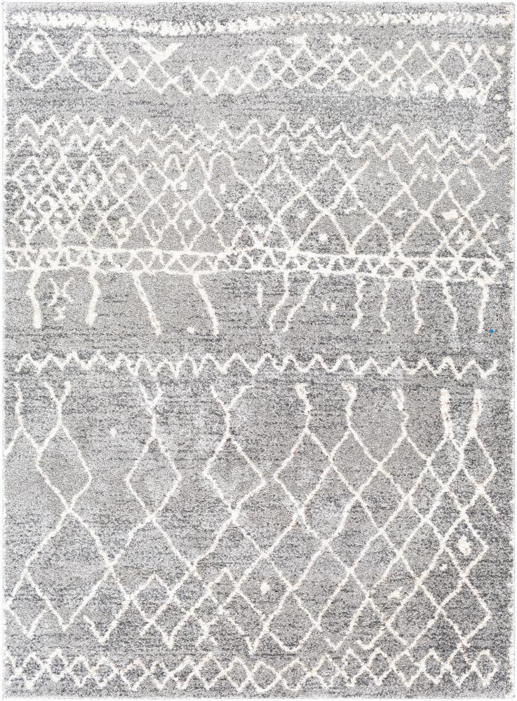 Livabliss - Andorra 2x211in Machine Woven Rug - ARD2304-23 veiw 1