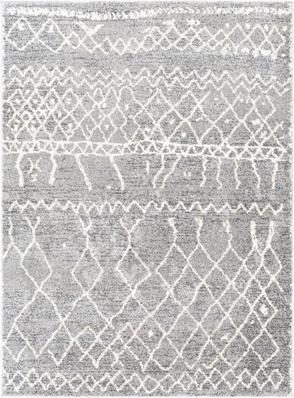 Livabliss - Andorra 2x211in Machine Woven Rug - ARD2304-23 veiw 1