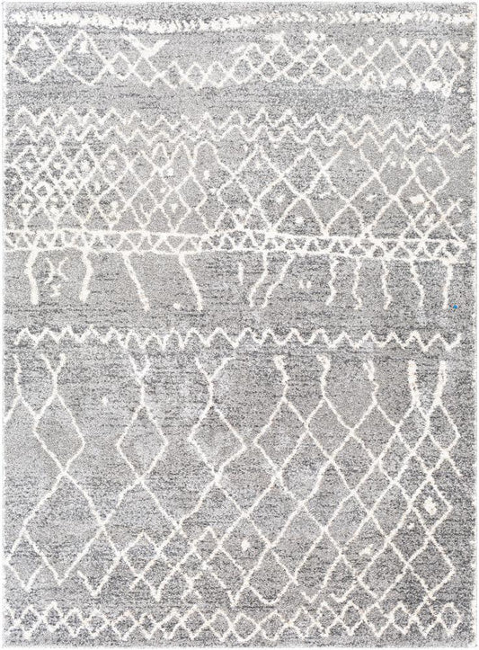 Livabliss - Andorra 53inx73in Machine Woven Rug - ARD2304-5373 veiw 1