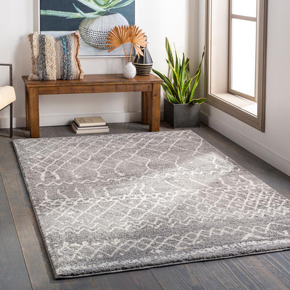 Livabliss - Andorra 67inx9 Machine Woven Rug - ARD2304-679 veiw 2