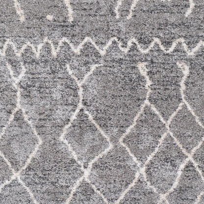 Livabliss - Andorra 67inx9 Machine Woven Rug - ARD2304-679 veiw 4
