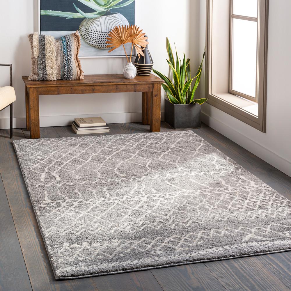 Livabliss - Andorra 710inx10 Machine Woven Rug - ARD2304-71010 veiw 2