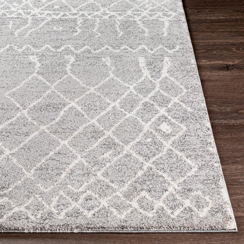 Livabliss - Andorra 710inx10 Machine Woven Rug - ARD2304-71010 veiw 5