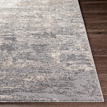 Livabliss - Andorra 710inx10 Machine Woven Rug - ARD2306-71010 veiw 5