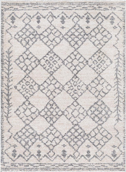 Livabliss - Andorra 2x211in Machine Woven Rug - ARD2307-23 veiw 1