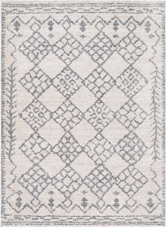 Livabliss - Andorra 2x211in Machine Woven Rug - ARD2307-23 veiw 1