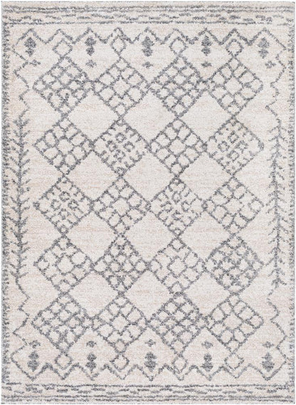 Livabliss - Andorra 53inx73in Machine Woven Rug - ARD2307-5373 veiw 1