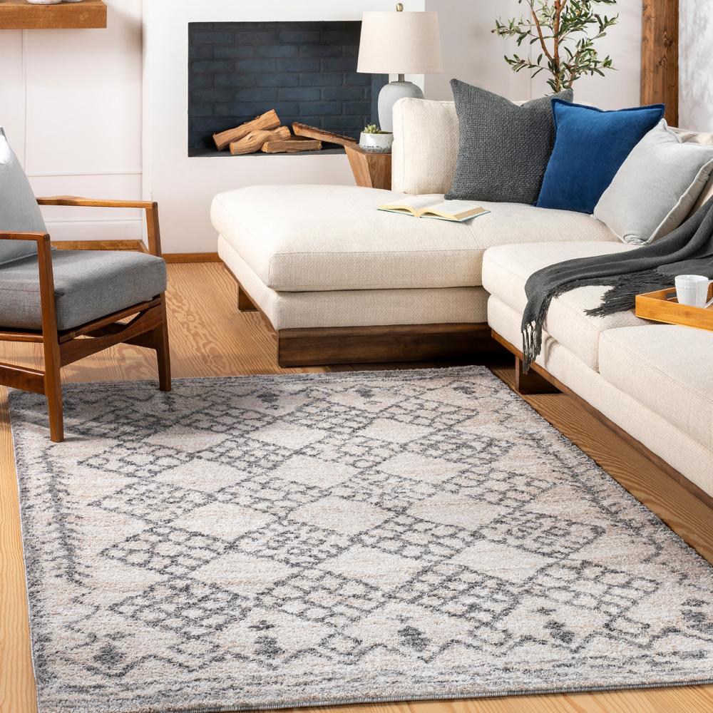 Livabliss - Andorra 53inx73in Machine Woven Rug - ARD2307-5373 veiw 2