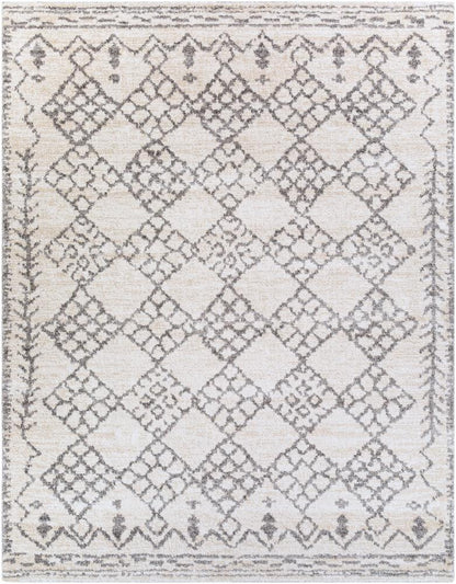 Livabliss - Andorra 710inx10 Machine Woven Rug - ARD2307-71010 veiw 1