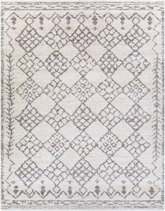 Livabliss - Andorra 710inx10 Machine Woven Rug - ARD2307-71010 veiw 1