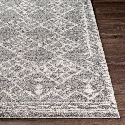 Livabliss - Andorra 2x211in Machine Woven Rug - ARD2308-23 veiw 4